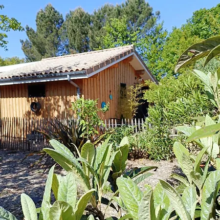 Maison De Vacances 2 Chambres Plages Lac A 600M Proche Dune Du Pilat Ocean Dans Propriete Privee Sanguinet Exterior photo