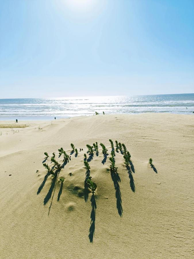 Ferienhaus Maison De 2 Plages A 600m Proche Dune Du Pilat Ocean Dans Propriete Privee Sanguinet