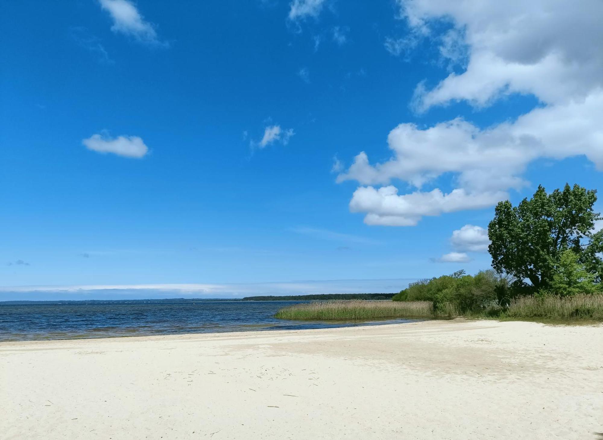 Maison De 2 Plages A 600m Proche Dune Du Pilat Ocean Dans Propriete Privee Holiday home