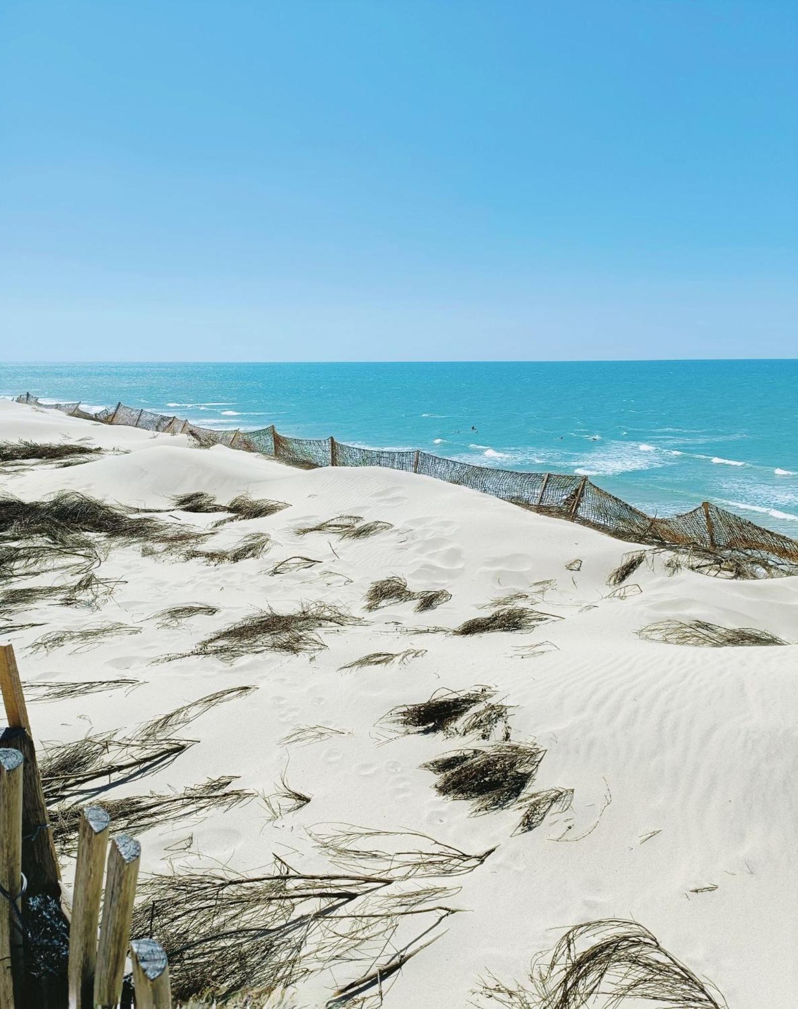Ferienhaus Maison De 2 Plages A 600m Proche Dune Du Pilat Ocean Dans Propriete Privee *