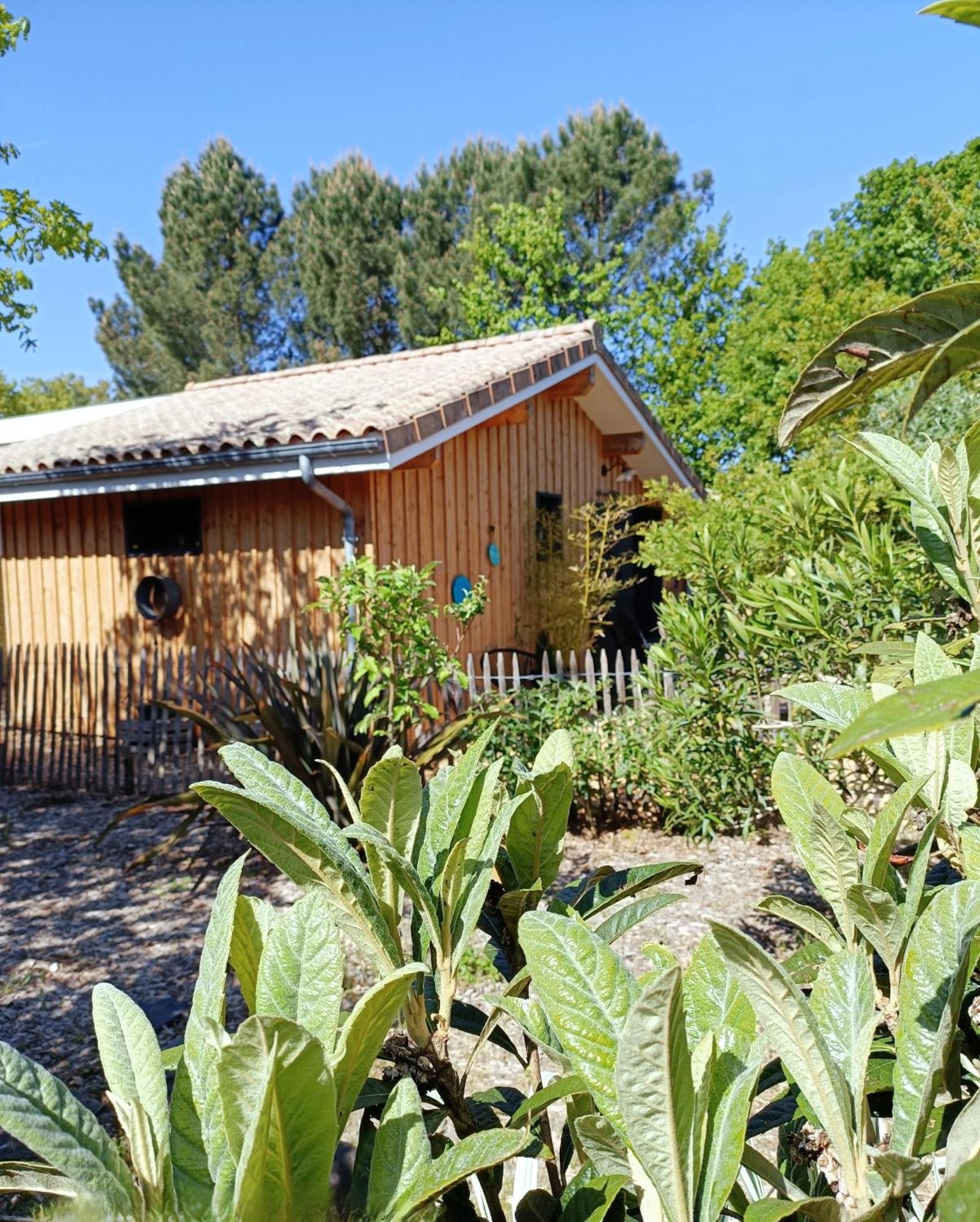 Maison De 2 Plages A 600m Proche Dune Du Pilat Ocean Dans Propriete Privee Ferienhaus *